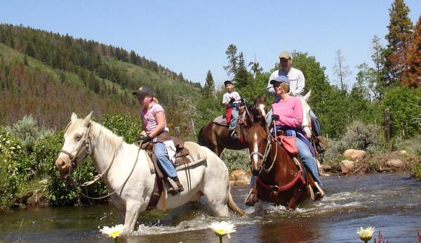 horseback-riding-sarasota-florida